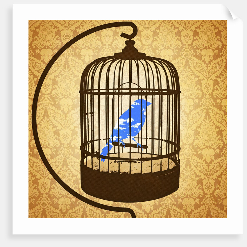 Bird in a cage by Anonymous