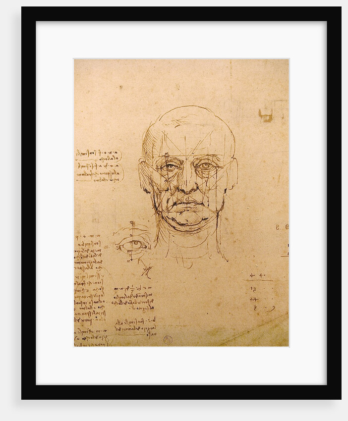 Drawing of facial study by Leonardo da Vinci