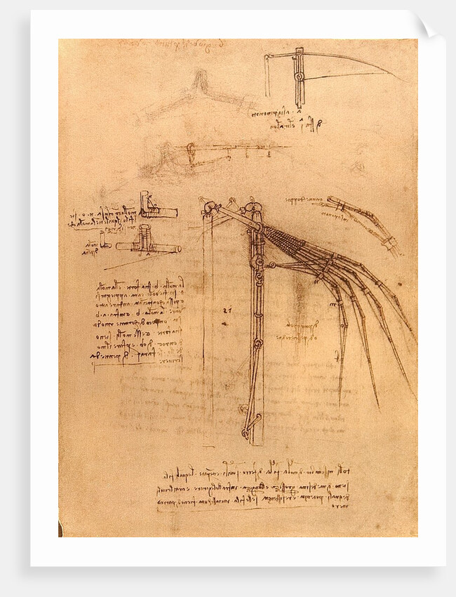 Sketch for a wing with moveable ends by Leonardo da Vinci