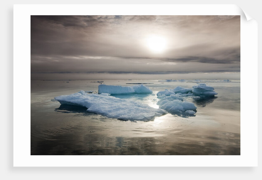 Melting Sea Ice, Svalbard, Norway by Anonymous