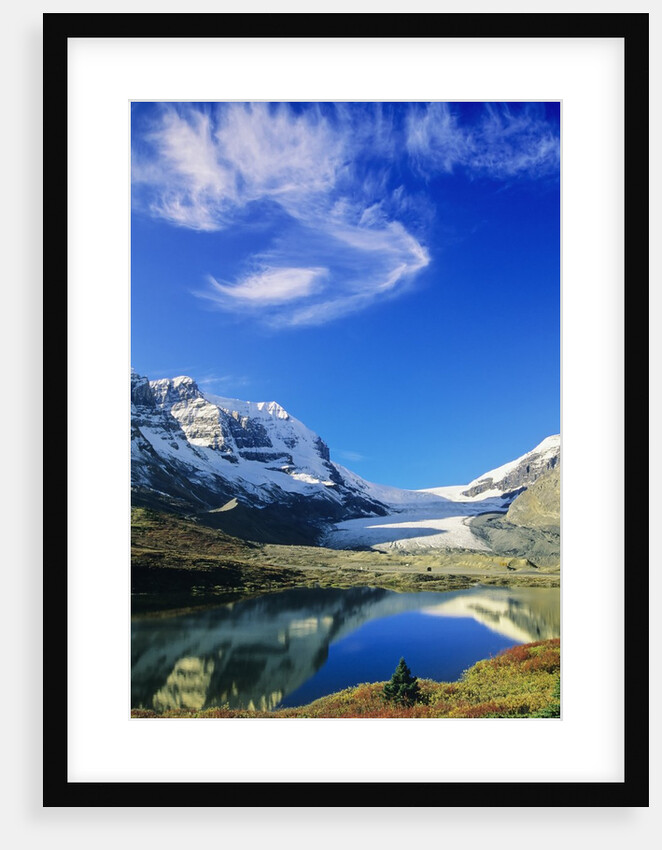 Athabasca Glacier Scenic, Jasper National Park, Alberta, Canada by Anonymous