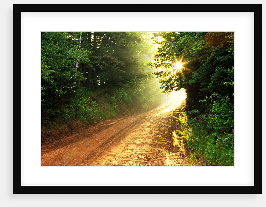 Clay Road, South Melville, Prince Edward Island, Canada by Anonymous
