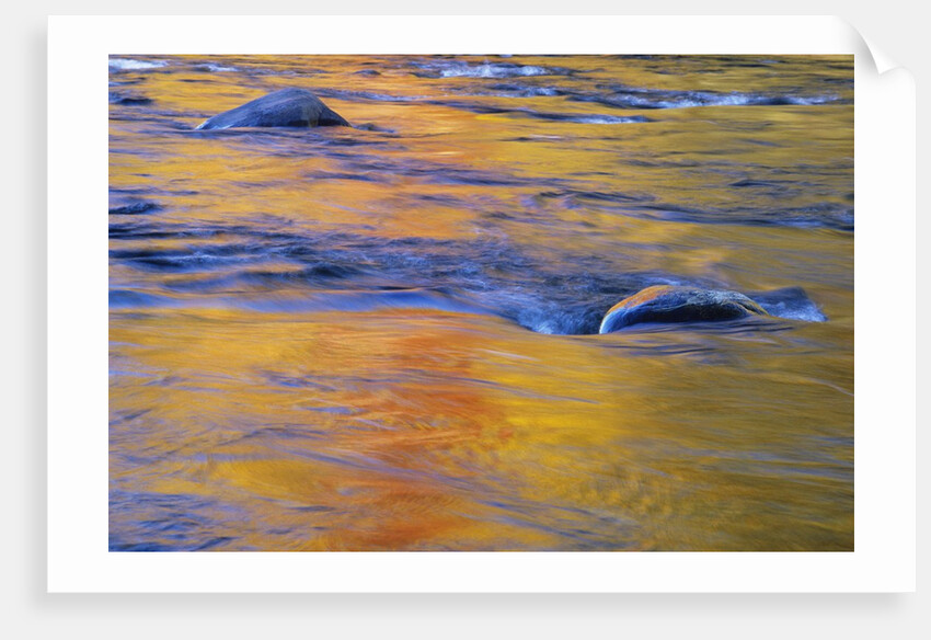 Autumn Reflections on Little White River, Elliot Lake, Ontario, Canada by Anonymous