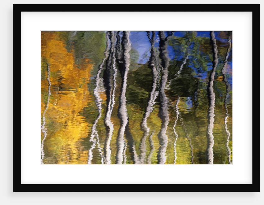 Autumn Reflections in Kilbear Provincial Park, Ontario, Canada by Anonymous