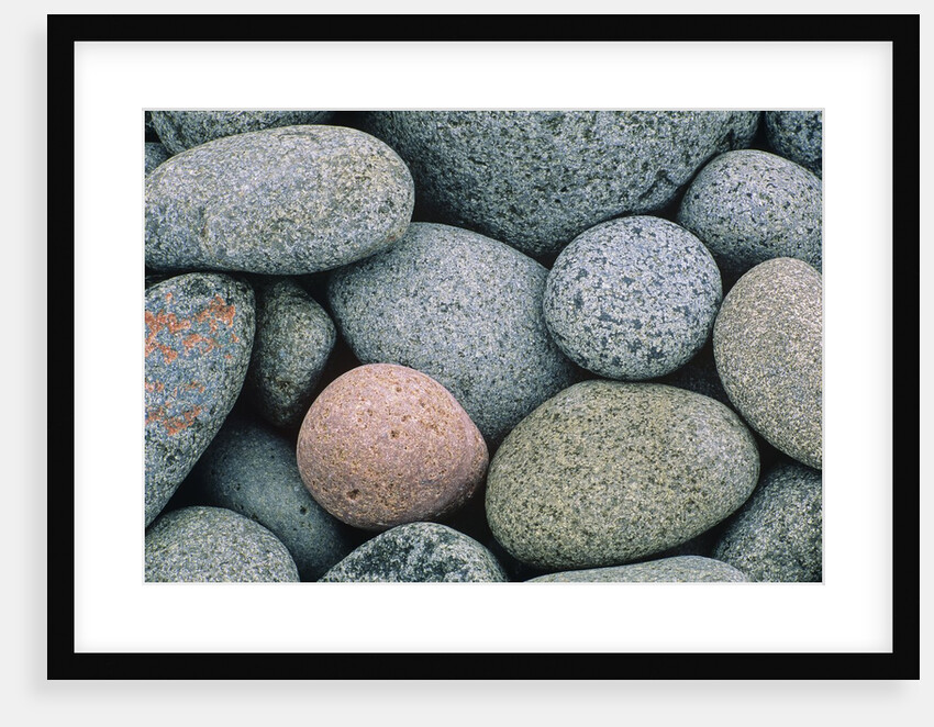 Detail of Pebbles on Long Island, Nova Scotia, Canada by Anonymous