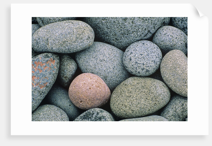 Detail of Pebbles on Long Island, Nova Scotia, Canada by Anonymous