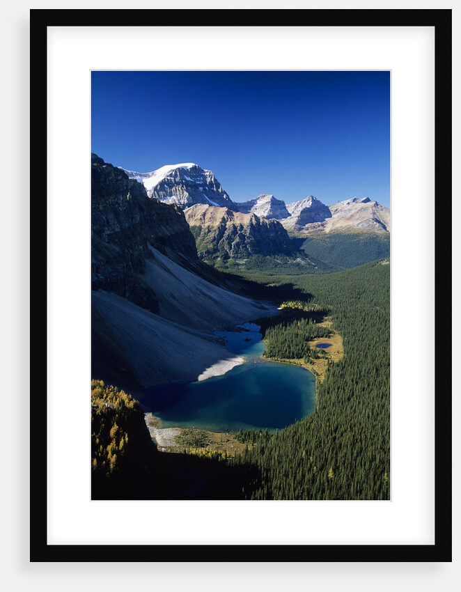 Ball Range, Banff National Park, Alberta, Canada by Anonymous