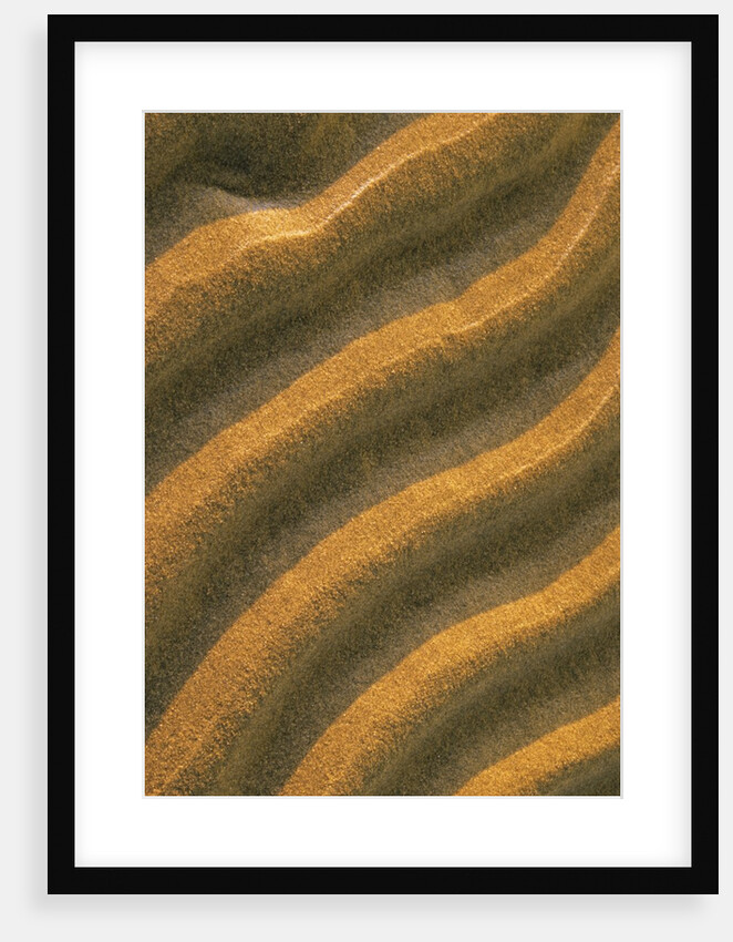 Ripples in the Sand at Singing Sands (also Known As Dorcas Bay) in Bruce Peninsula National Park, Ontario, Canada by Anonymous