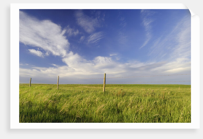 Active Prairie Sky and Farm Fenceline West of Calgary, Alberta, Canada. by Anonymous