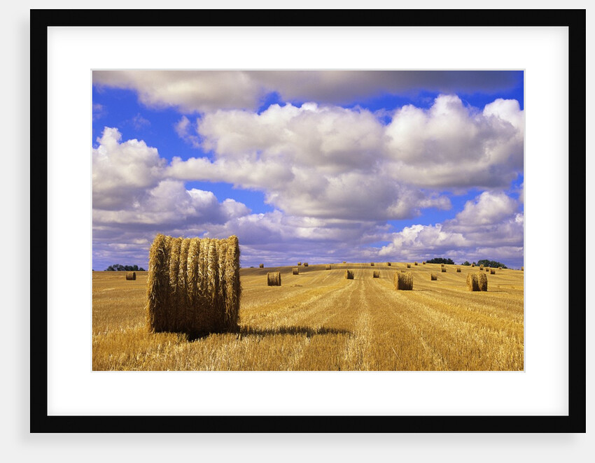 Bales and Clouds Near Sherbrooke, Saskatchewan, Canada. by Anonymous