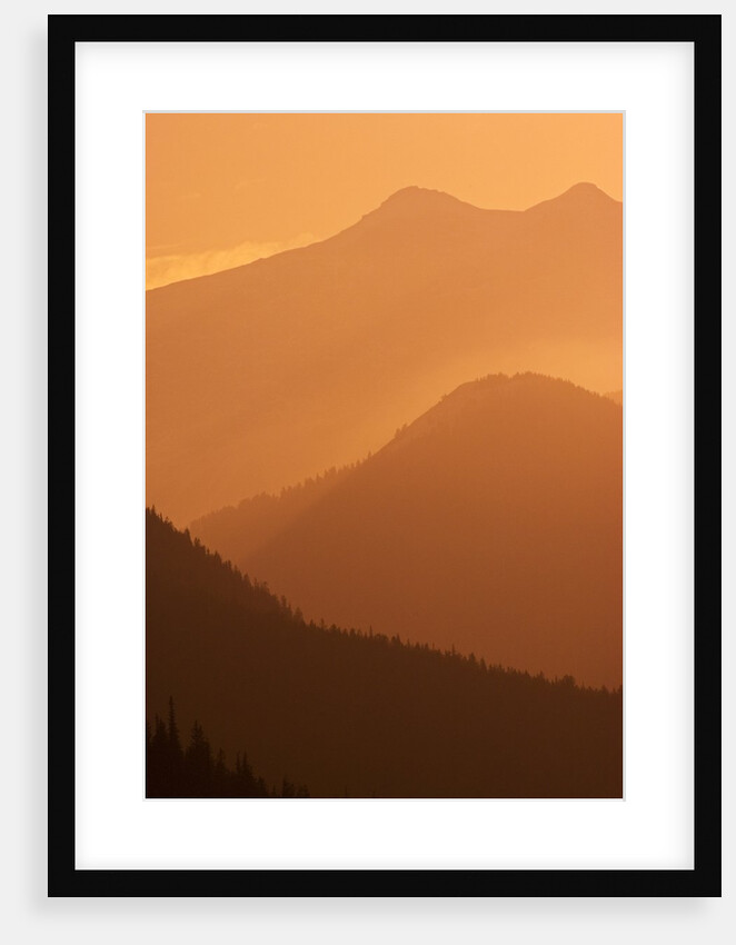 Canadian Rockies at Sunset, Banff National Park, Alberta, Canada. by Anonymous