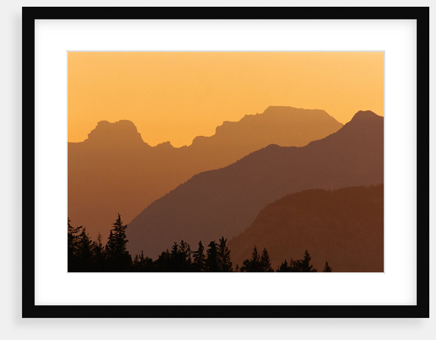 Canadian Rockies at Sunset, Banff National Park, Alberta, Canada. by Anonymous