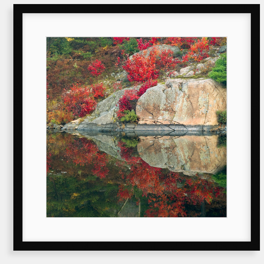 Autumn Colour Reflected in Murdock River, Sudbury, Ontario, Canada. by Anonymous