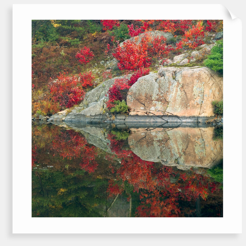 Autumn Colour Reflected in Murdock River, Sudbury, Ontario, Canada. by Anonymous