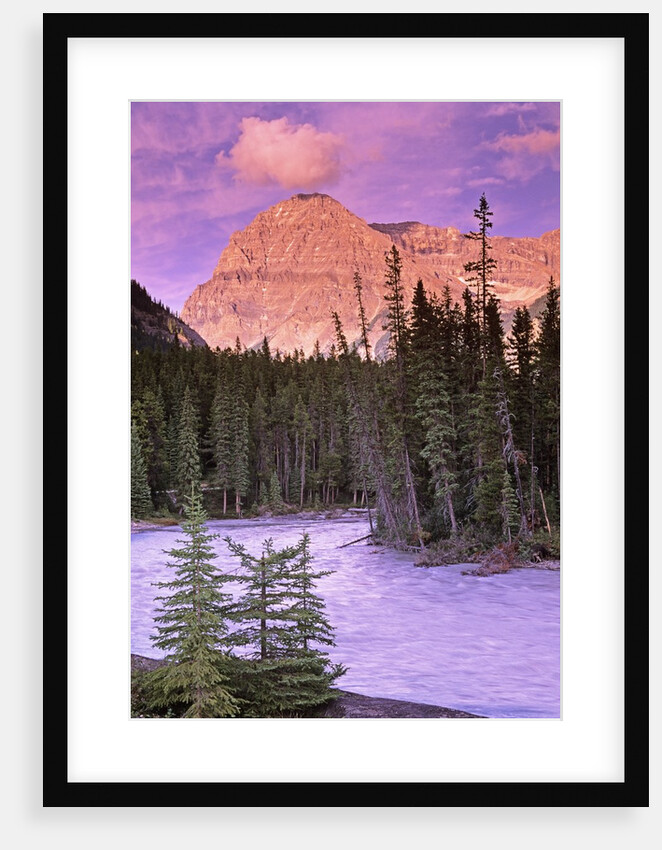 Mt. Stephen and the Kicking Horse River, Yoho National Park, British Columbia, Canada by Anonymous
