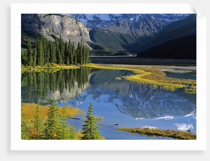 Mount Kitchener Reflected in Pond Near the Beauty Creek Hostel, Jasper National Park, Alberta, Canada by Anonymous