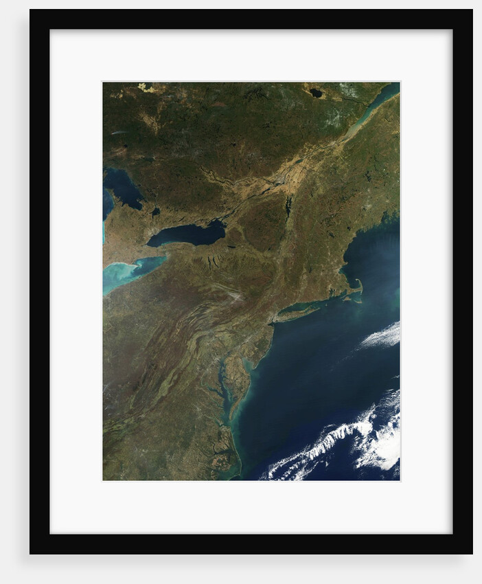 Fall in the Eastern United States by Anonymous