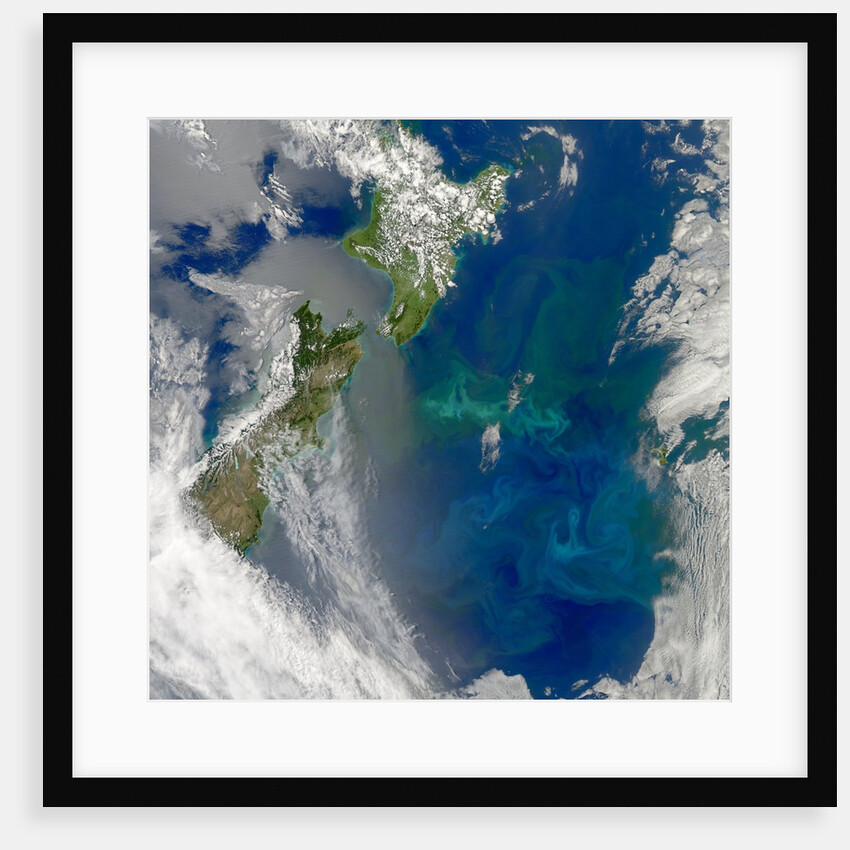 Phytoplankton Bloom in the Pacific Ocean East of New Zealand by Anonymous