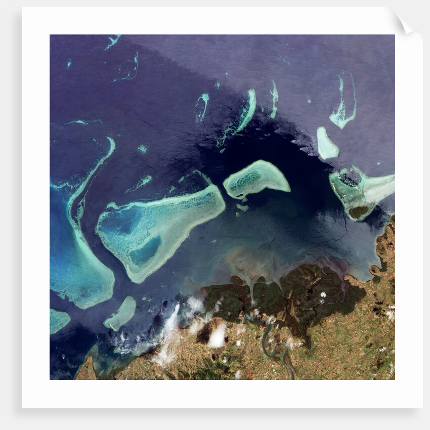 Coral Reefs off of Viti Levu, Fiji by Anonymous