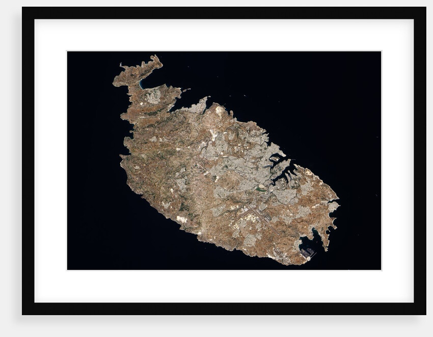 The Island of Malta by Anonymous