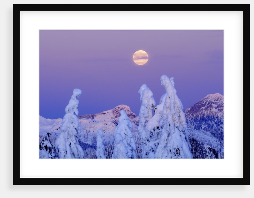 Moonset at Sunrise, Winter, Mount Seymour Provincial Park, North Vancouver, British Columbia by Anonymous