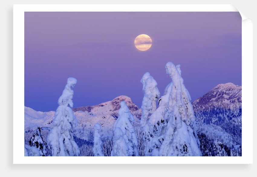 Moonset at Sunrise, Winter, Mount Seymour Provincial Park, North Vancouver, British Columbia by Anonymous