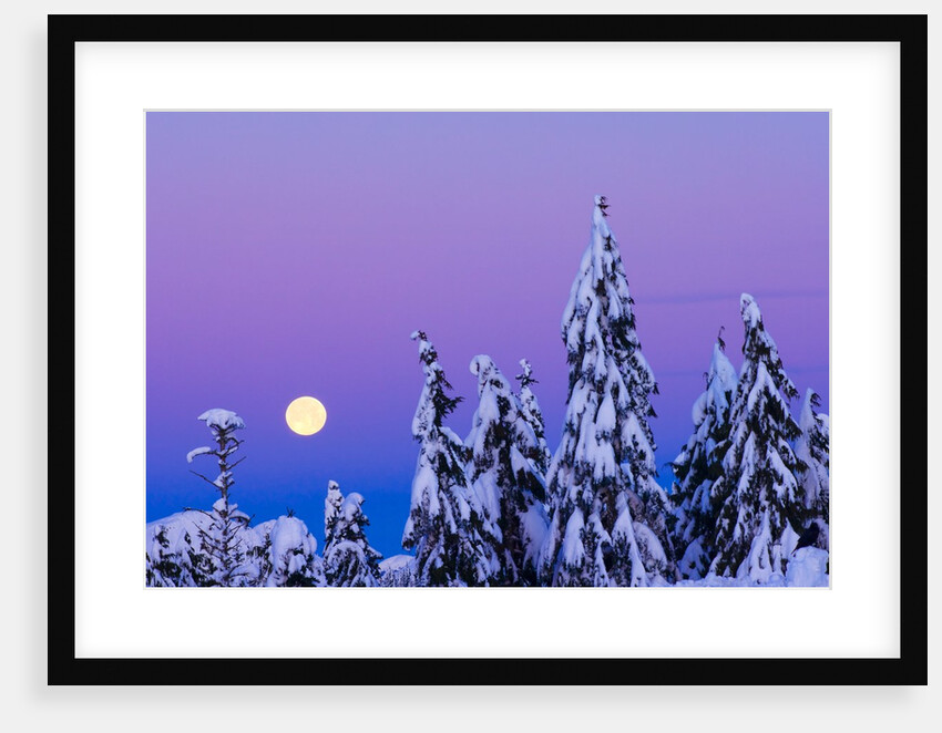 Moonset. From Grouse Mountain, Vancouver, British Columbia, Canada. by Anonymous