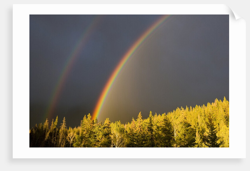 A Double Rainbow During a Storm in Banff National Parknear Banff Alberta, Canada. by Anonymous