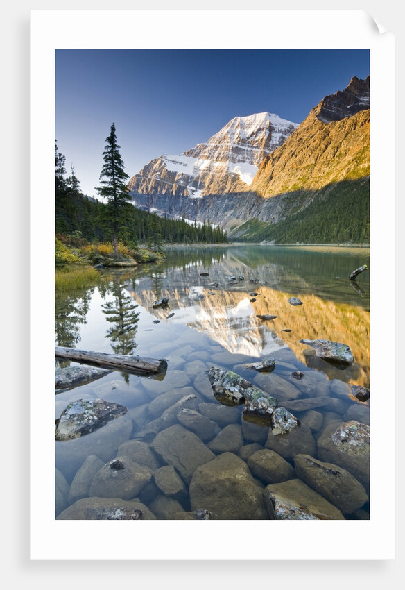 Mount Edith Cavell Reflected in Cavell Lake in Jasper National Park, Alberta, Canada. by Anonymous