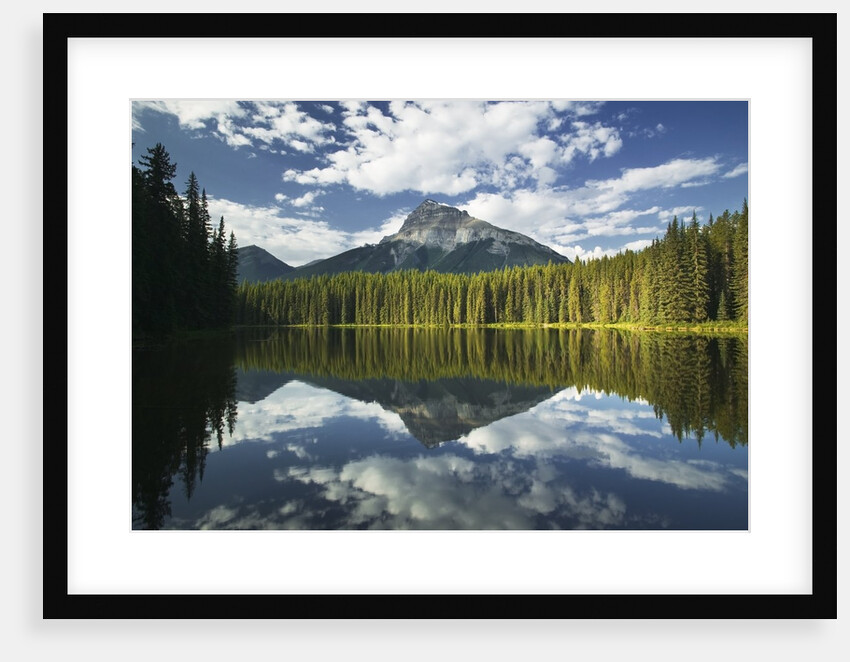 Pilot Point with Pilot Mountain, Banff National Park, Alberta, Canada by Anonymous
