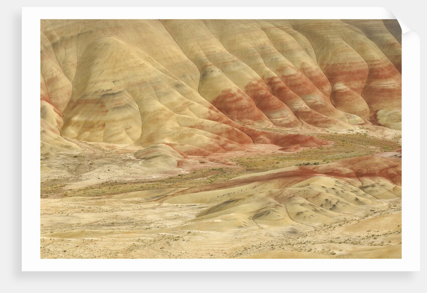 The Painted Hills at the John Day Fossil Beds National Monument, Oregon, USA by Anonymous