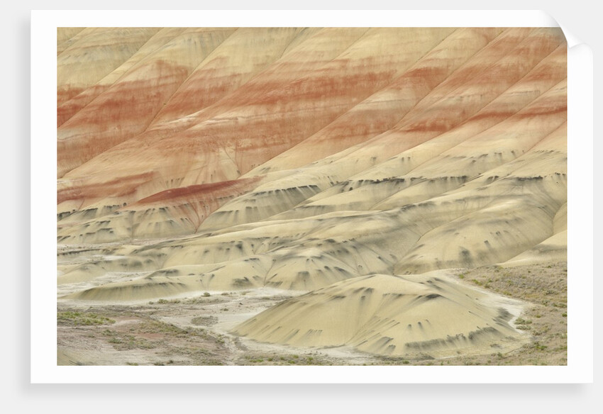 The Painted Hills at the John Day Fossil Beds National Monument, Oregon, USA by Anonymous