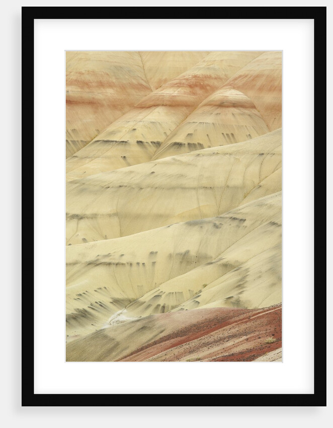The Painted Hills at the John Day Fossil Beds National Monument, Oregon, USA by Anonymous