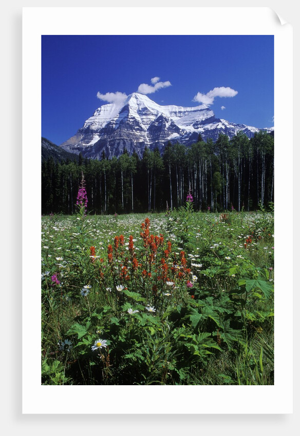 Mount Robson, 3954 M, Highest Peak in Canadian Rockies, British Columbia, Canada. by Anonymous