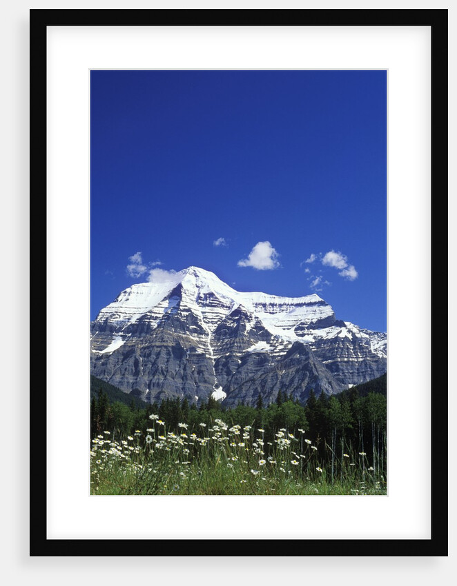Mount Robson, 3954 M, Highest Peak in Canadian Rockies, British Columbia, Canada. by Anonymous