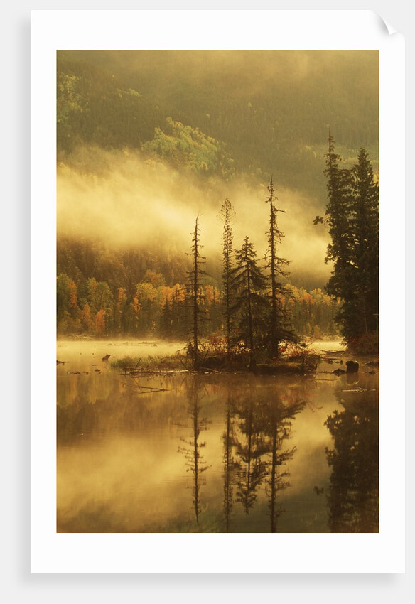 Nisga'a Lava Bed Memorial Provincial Park, Lava Lake in Autumn Mist, Nass River Valley, British Columbia, Canada. by Anonymous
