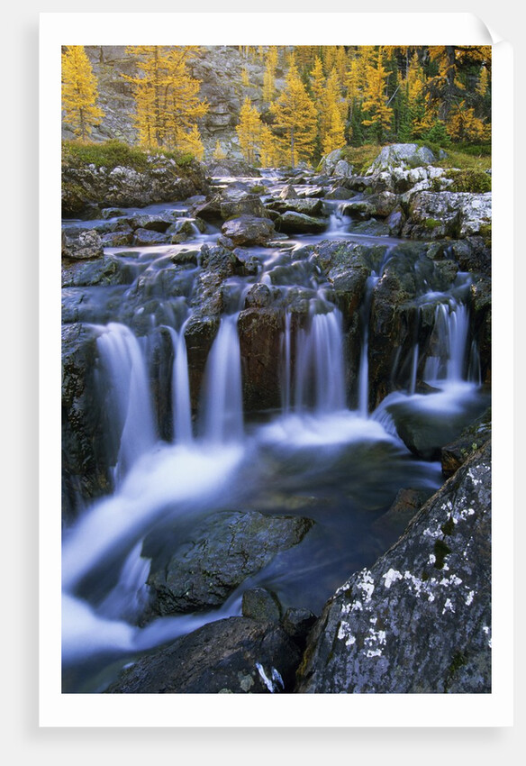 Lake O'Hara, Opabin Plateau, Cascade Lakes, Yoho National Park, British Columbia, Canada. by Anonymous