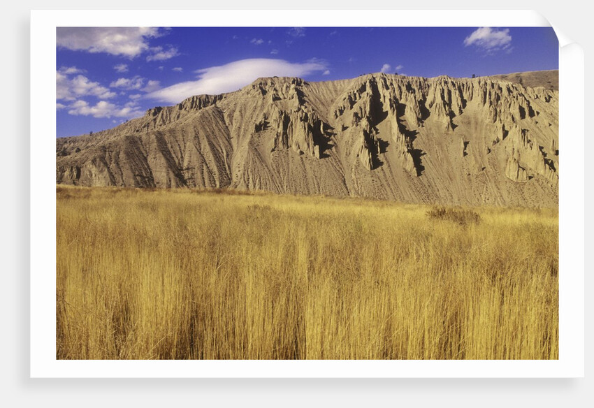 Grasslands at Farwell Canyon, British Columbia, Canada. by Anonymous