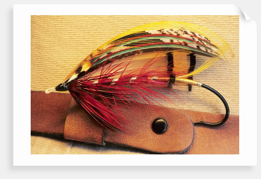 Atlantic Salmon Fly on Hat Brim, British Columbia, Canada. by Anonymous
