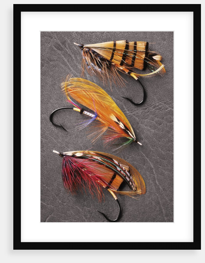 Atlantic Salmon Flies Still Life, Canada. by Anonymous