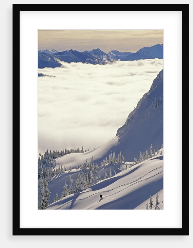 Skier Skiing Fresh Deep Powder in Backcountry Near Fernie, East Kootenays, British Columbia, Canada. by Anonymous