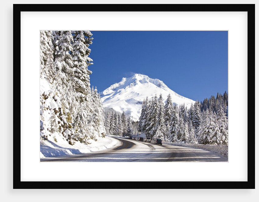 Snow covered road, Mount Hood, Oregon Cascades by Anonymous