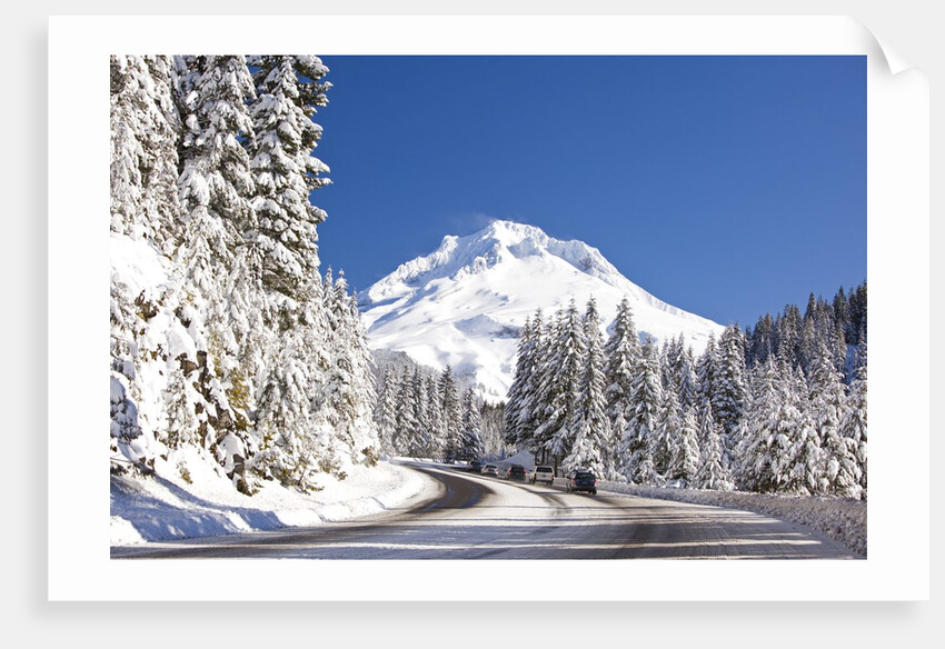 Snow covered road, Mount Hood, Oregon Cascades by Anonymous