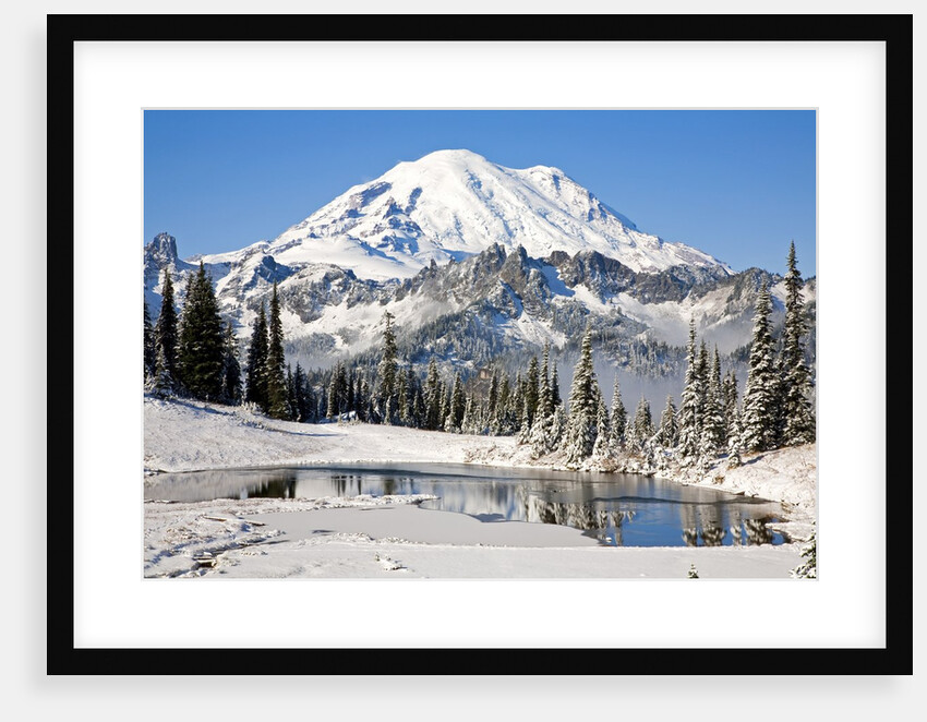 First winter snow at Mount Rainier and Tipsoo Lake, Mount Rainier National Park, Washington State by Anonymous