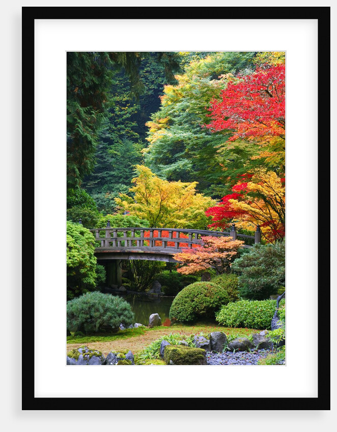 Bridge in Japanese Garden by Anonymous