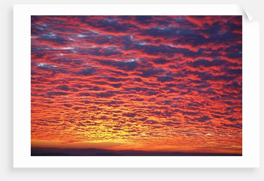 Sunset over Willamette Valley, Oregon by Anonymous