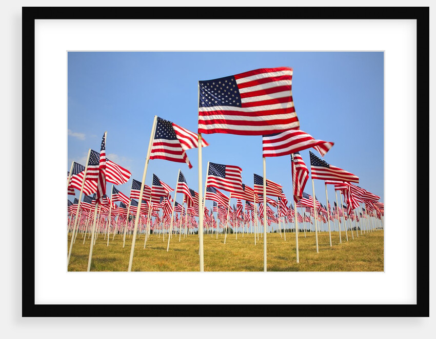 American Flags, Oregon by Anonymous
