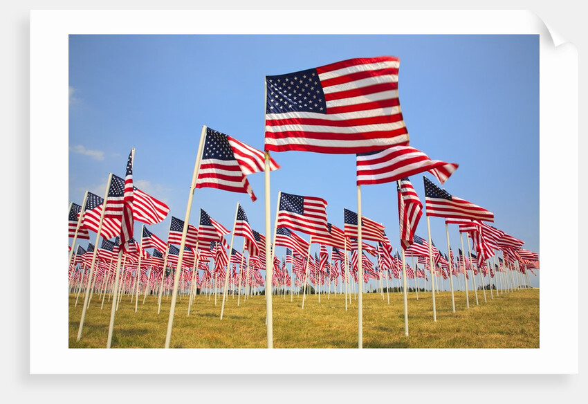 American Flags, Oregon by Anonymous