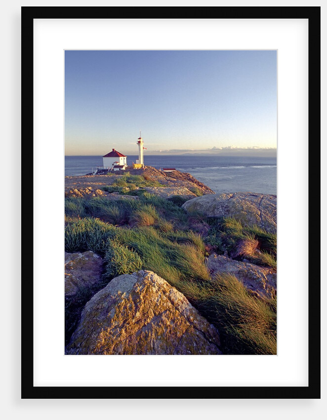 Trial Island Lighthouse with the Strait of Juan De Fuca in Background, Victoria, British Columbia, Canada. by Anonymous