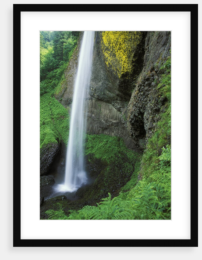 USA, Oregon, Columbia River Gorge Area, Scenic Waterfalls, Latourelle Falls by Anonymous